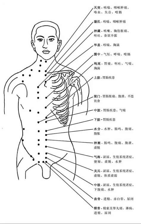 豐容穴